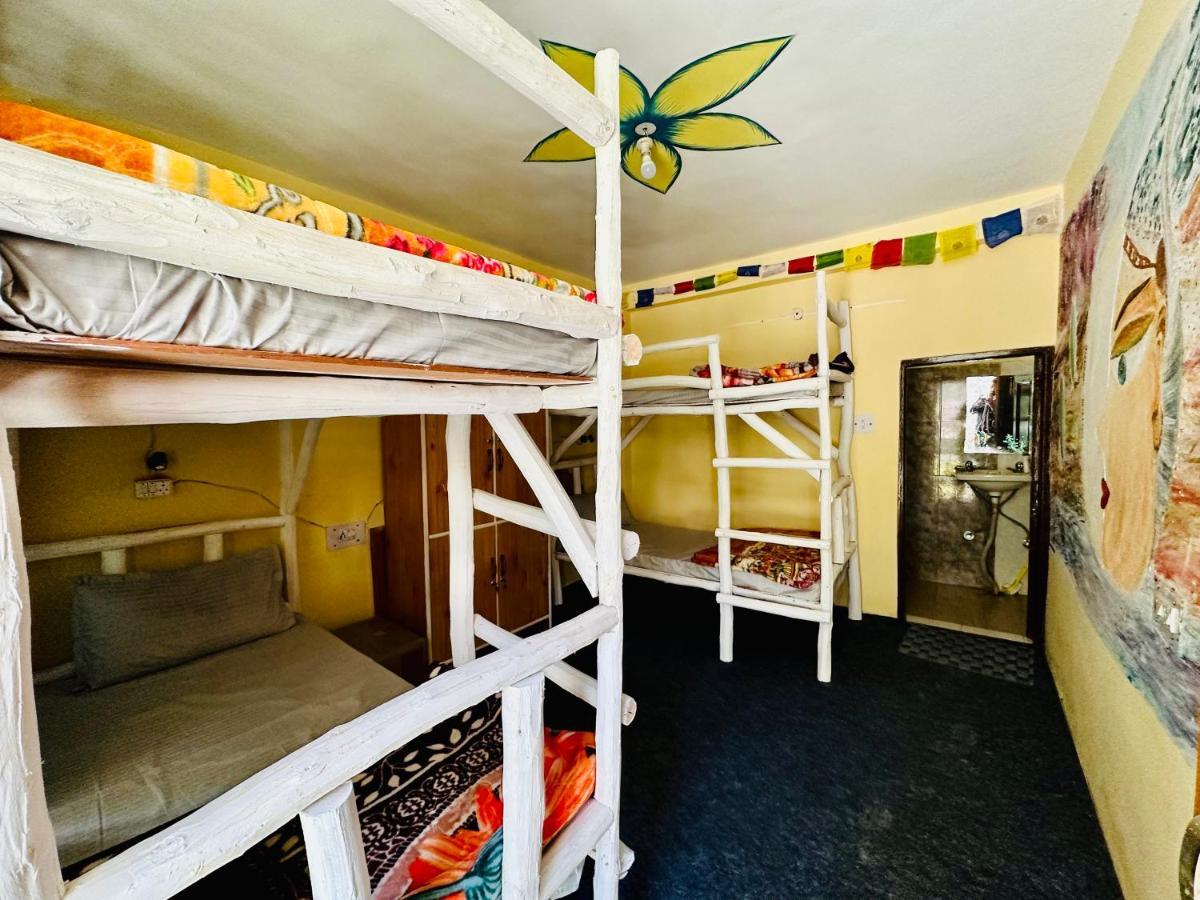 Hostel 360 Degree Манали Экстерьер фото